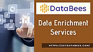 Avail Affordable Data Enrichment Services of DataBees