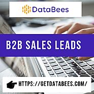 Contact DataBees Experts To Foster Your B2B Sales Leads Exponentially