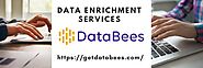 Invest in State of The Art Data Enrichment Services of DataBees