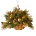 Best Christmas Hanging Baskets with Lights - Ratings and Reviews
