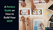 Things to know before building your Minimum Viable Product (MVP)