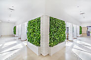 Living Green Walls in Dubai