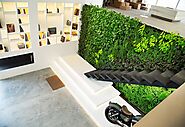 Plant Walls at Light Space Design