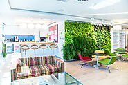 Company Lobby Living Green Walls