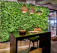 Reception Plant Wall