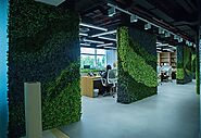 Artificial Plant Wall in the Office