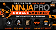 Rank your website on Top of Google with advance and latest SEO Services - Be your own boss and earn money Online