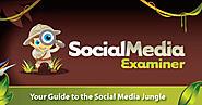 Social Media Examiner