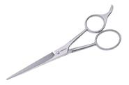 Stainless 2000 5½ Shears