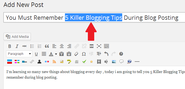 You Must Remember 5 Killer Blogging Tips During Blog Posting -