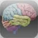 3D Brain for iPhone, iPod touch, and iPad on the i