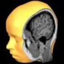Brain Tutor 3D for iPhone, iPod touch, and iPad on