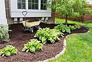 Are you looking for mulching service in McAllen, TX?