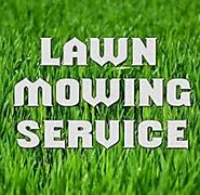 Are you looking for lawn mowing service in Edinburg, TX?