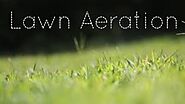Important considerations for lawn aeration service in Mission, TX