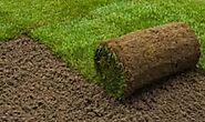 Get quality sod installation services in Mission, TX