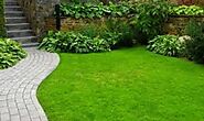 Looking for a landscaping contractor in Edinburg, TX?