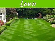 Looking for best lawn care services in McAllen, TX?