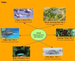 Animal Characteristics and Habitats: 3rd-5th