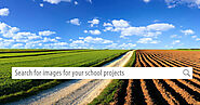 Free Photos for Education | Pics4Learning