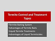Termite Control and Treatment Types