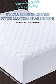 Pin on Mattress Toppers