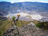 Mount Tambora