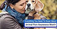 Everything You Need to Know About Animal Pain Awareness Month