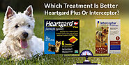 Which Treatment Is Better – Heartgard Plus Or Interceptor?
