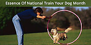 Essence Of National Train Your Dog Month