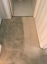 carpet cleaning in progress