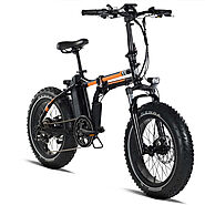 RadMini 4 - electronicbikes