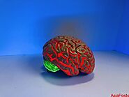 Follow The Guide To Avoid Complications With Brain Stroke