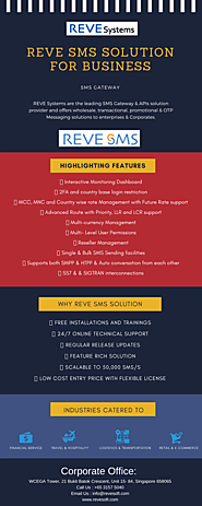 SMS Gateway Solution for Business | REVE Systems