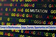 Career in Bioinformatics - Scope, Courses, Opportunities and Salaries