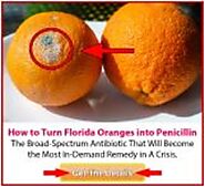 How To Gain No 1 Doctor’s Book Of Survival Home Remedies | by Vickson Domwe | Sep, 2020 | Medium