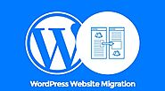 I will transfer, backup, move or migrate your website