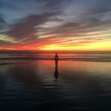 Admiring the admirer #sunset #pismobeach #california #reflection #beach #silhouette #colors