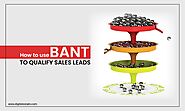 How to use BANT to Qualify Sales Leads - Digitalzone