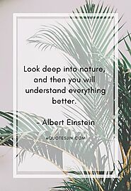 Nature Quotes