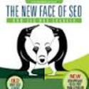 The New SEO Strategy Shifts Post Panda and Penguin - Infographic