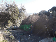 Aceite de Oliva – Montefrío’s olive oil