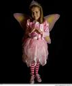 Best Disney Fairy Princess Costume Reviews