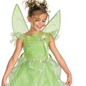 Best Disney Fairy Princess Costume Reviews | Learnist