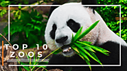 10 Best Zoos In The US That You Must Visit - Pandas Forever - 5amily