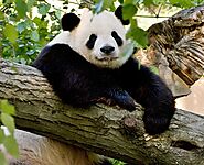 Smithsonian National Zoological Park