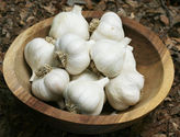 Garlic and Perennial Growing Guide