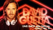 David Guetta India Tour 2014