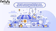 What eCommerce platforms are the best for growing a small business? -