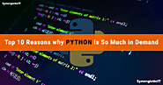 Top 10 Reasons Python is Popular